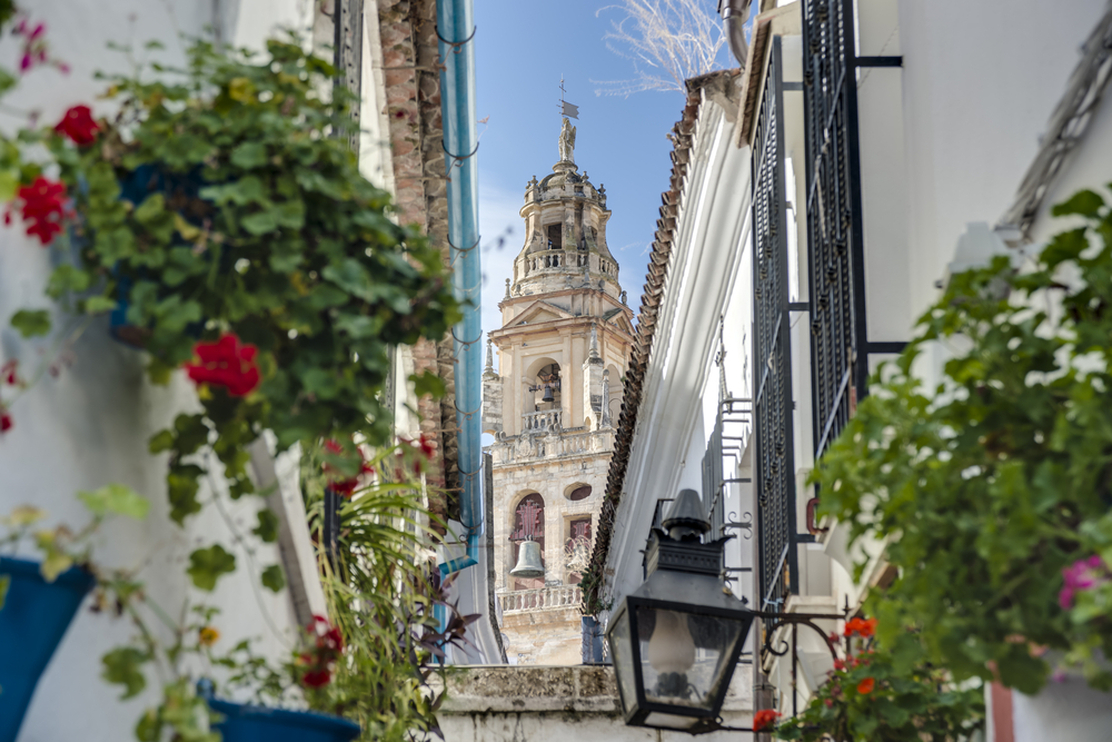 Calleja de las Flores - Córdoba