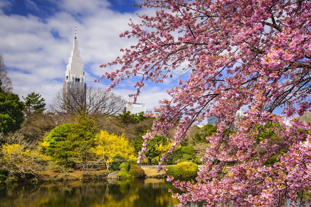 Parque Shinjuku Gyoen