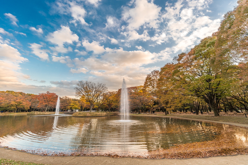 Parque Yoyogi Koen