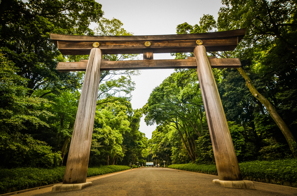 Santuario Meiji, horarios, precios, visitas, información - 101viajes