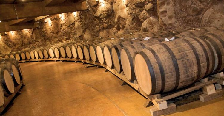 Bodega típica en Chianti