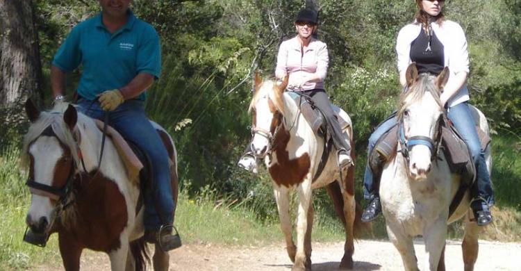 Montando a caballo en Alcudia