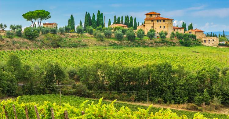 Vistas del Valle de Chianti