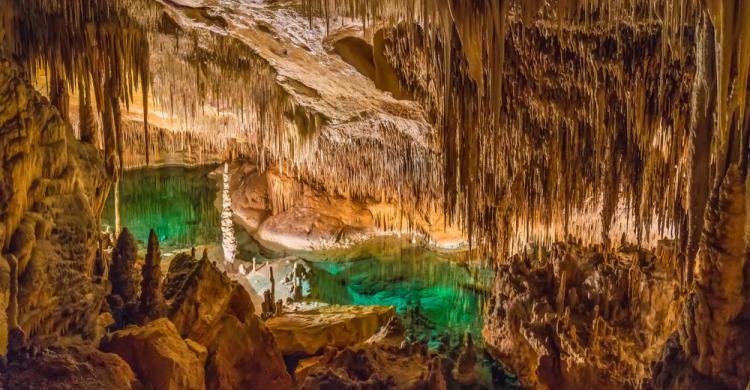 Visita guiada a las Cuevas del Drach