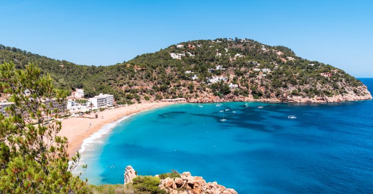 Cala San Vicente, en Ibiza