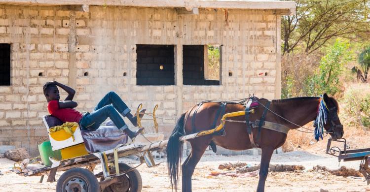 louga senegal