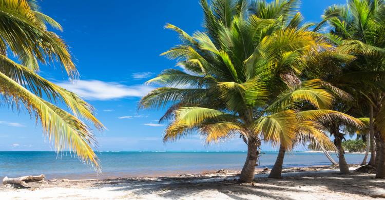 Playa Cabeza de Toro, Punta Cana