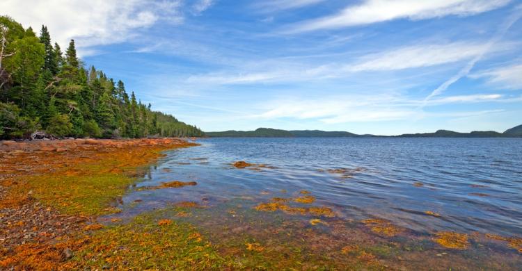 terra nova parque nacional