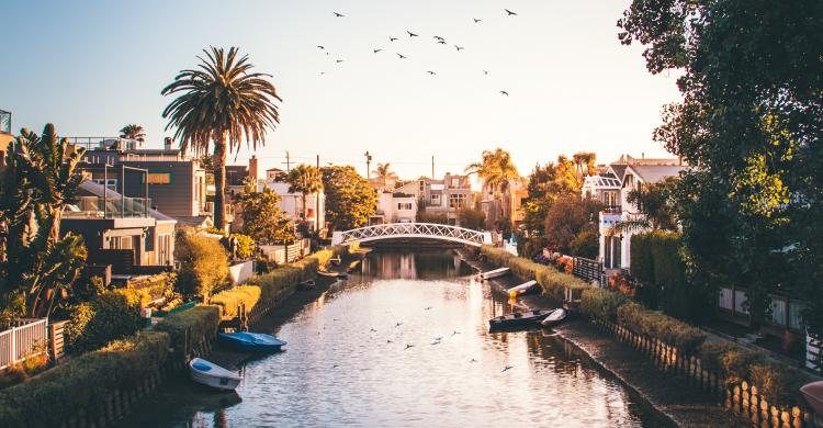 Venecia Americana