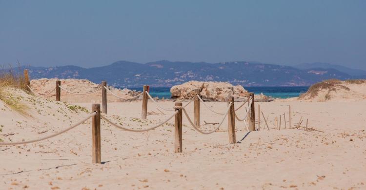 Playa de Formentera 