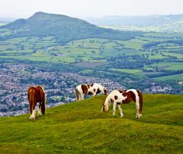 Brecon Beacons