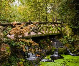 bosque vincennes