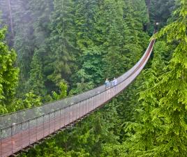 Puente suspendido de Capilano, cerca de Vancouver