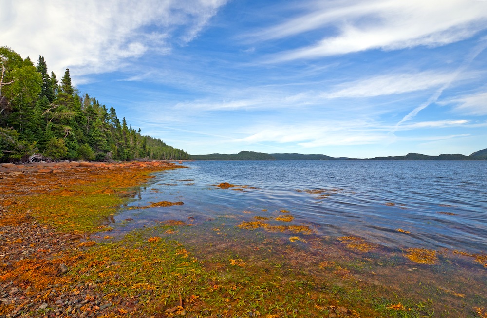 Resultado de imagen de Parque nacional Terra Nova