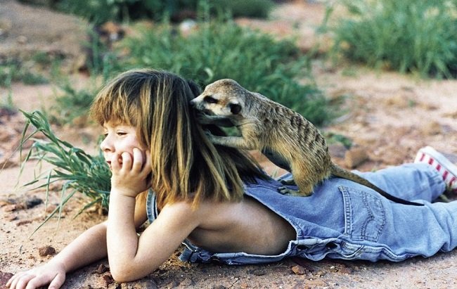 Imágenes con animales 9Tippi_Degre